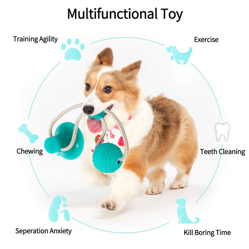 [Australia] - ODOLDI Pet Molar Bite Toy, Multifunction Interactive Ropes Toys, Self-Playing Rubber Chew Ball Toy with Suction Cup, Teeth Cleaning Tool for Dogs Cats Light Blue 