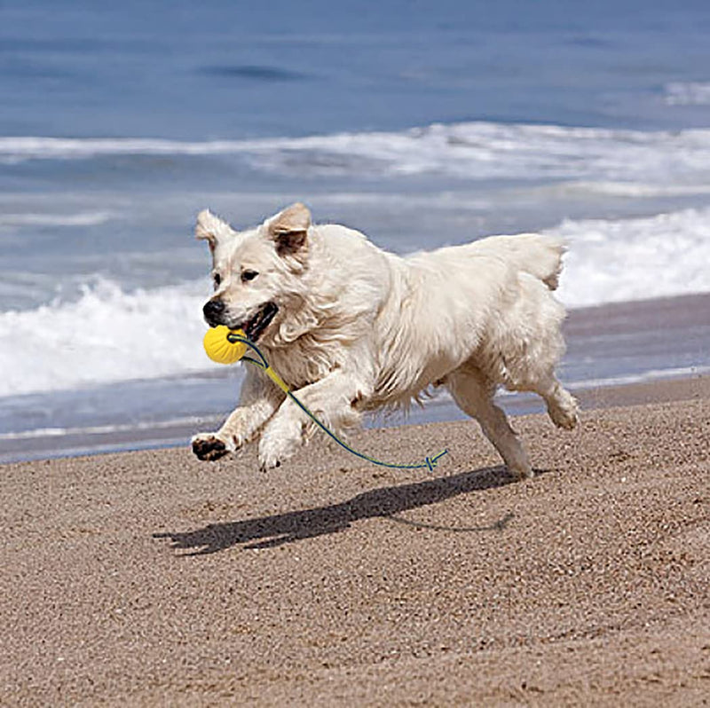 Ball with Rope Dog Toy,Fling Dura Foam Ball Dog Toy,Dog Water Float Toy Ball，Small Medium Large Dog Tug Toy (2.75inch(Small &Medium Dog)) 2.75inch(Small &Medium Dog) - PawsPlanet Australia