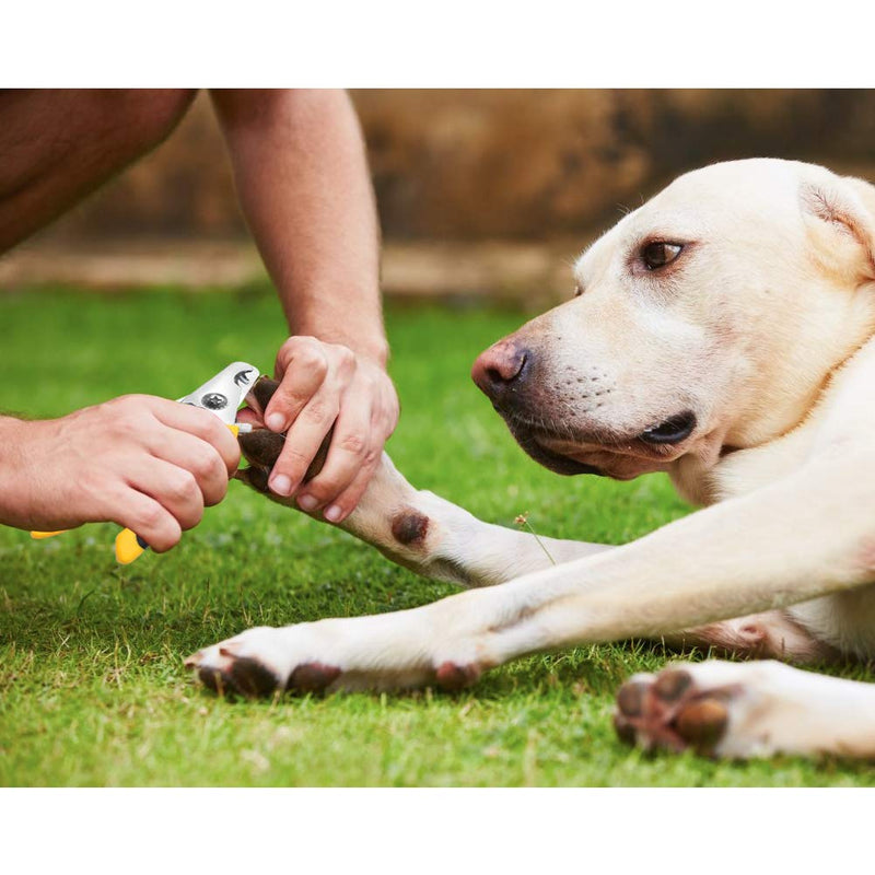 BAIRUI Dog Nail Clippers and Heavy Duty Nail Clipper for Large Dogs,Professional Nail Trimmer for Dogs/Cats,Pet-Nail Trimmer with Safety Guard to Avoid Over-Cutting Nails Free Nail File (Yellow) Yellow - PawsPlanet Australia