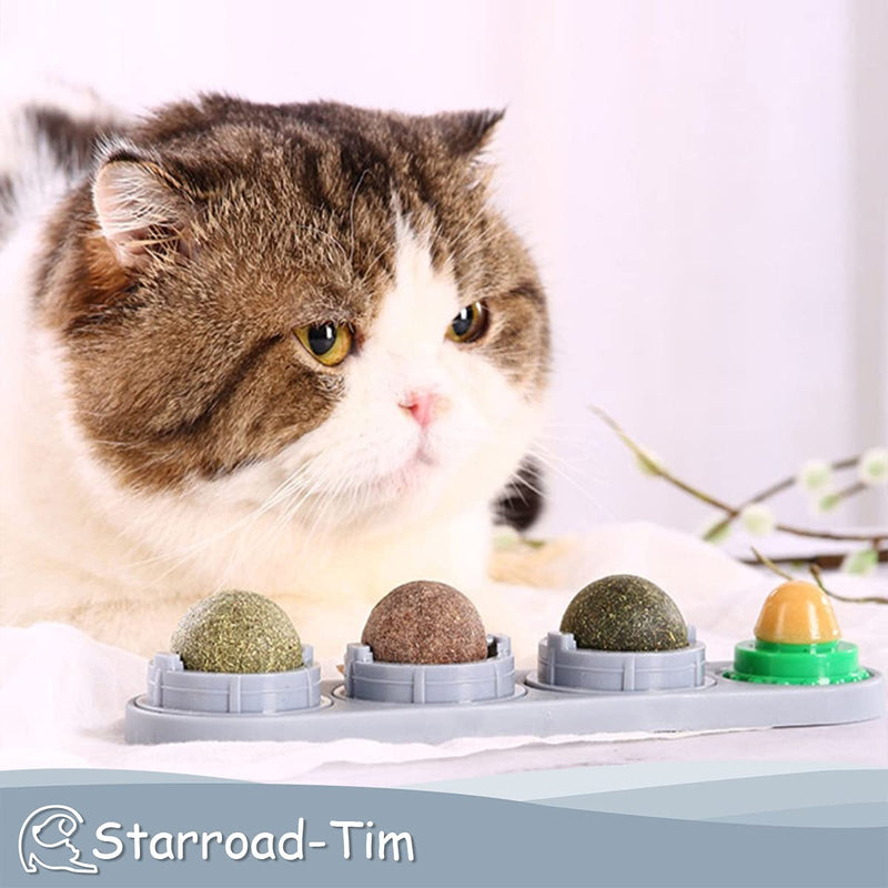 STARROAD-TIM Catnip Balls Catnip Toy for Cats Rotatable Edible Balls Natural Healthy Self-Adhesive Catnip Edible Balls Gray - PawsPlanet Australia