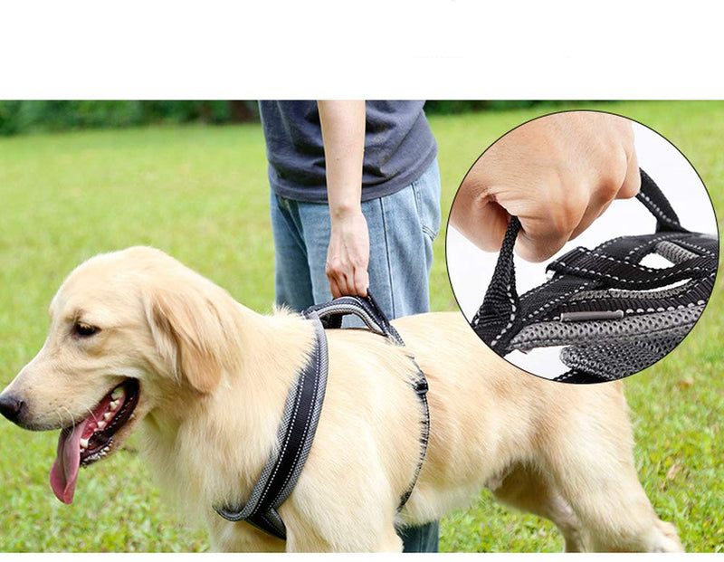 RC GearPro Large Dog Pet Chest Harness Pull with Handle, Reflective Adjustable Vest Harness in Training Walking and Hiking (M) Medium - PawsPlanet Australia