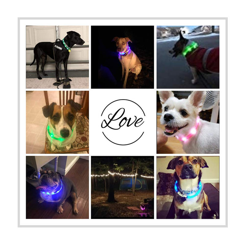 [Australia] - Domi USB Rechargeable LED Dog Collar Glowing Pet Collar, 3 Flashing Mode Light Up Dog Collar, Silicone Cuttable Dog Collar for Your Small Medium Large Dogs& Cats Green 