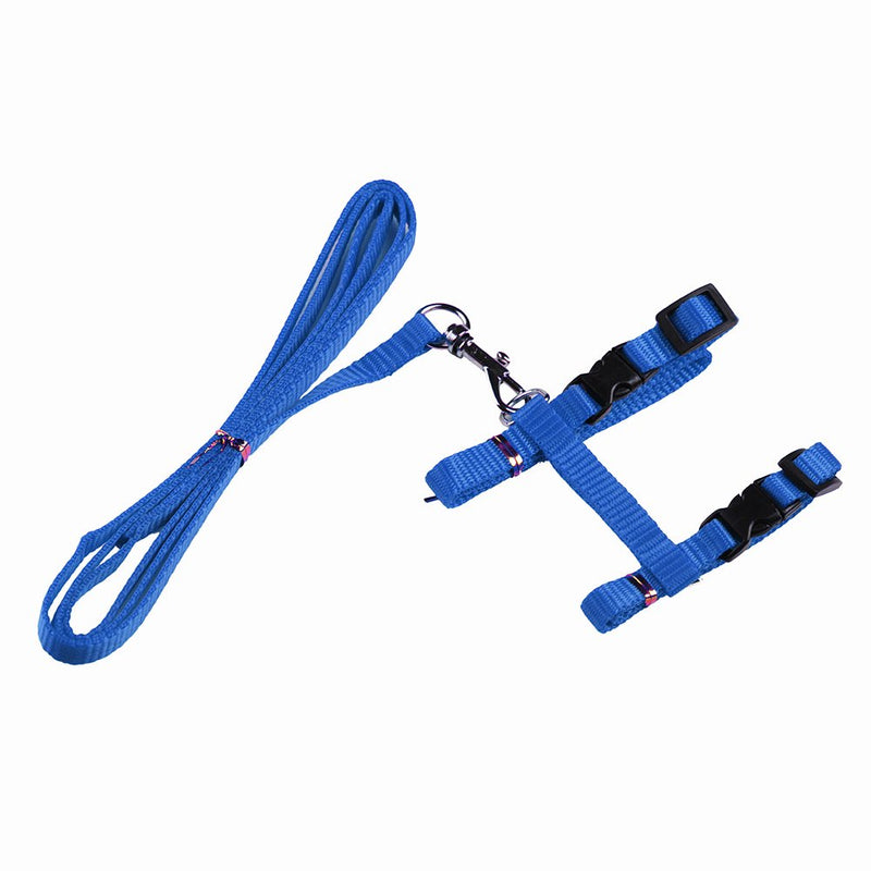 [Australia] - Gozier Pet Lead Leash Halter Harness Adjustable Safety Nylon Rope Strap Belt for Dog Cat Kitten BLUE 