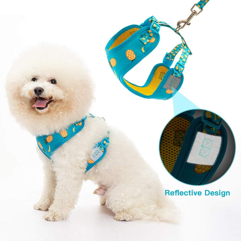 PUPTECK Dog Harness and Leash Set - Adjustable Cute Dog Bowtie Collar, Breathable Pineapple Comfort Padded Puppy Vest Harnesses for Small Medium Dogs Walking Blue - PawsPlanet Australia