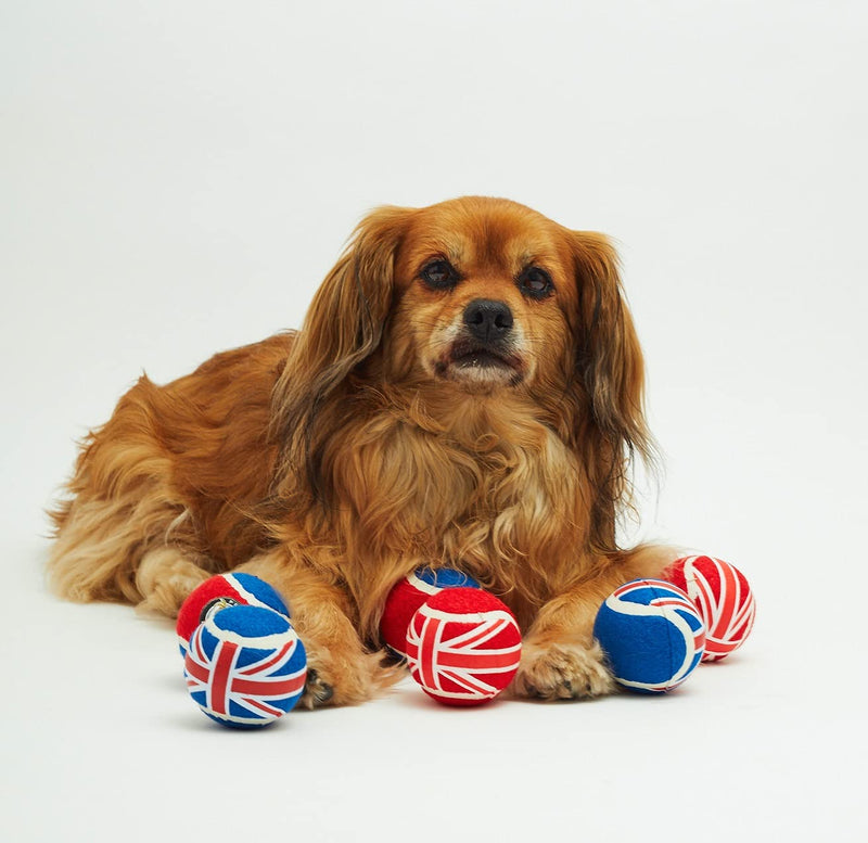 PetLondon Dog Tennis Balls 3pack, Dog Ball Bouncy Union Jack, London United Kingdom Tennis Balls, Premium British Tennis Balls For Small and Medium Dog and Puppies - PawsPlanet Australia