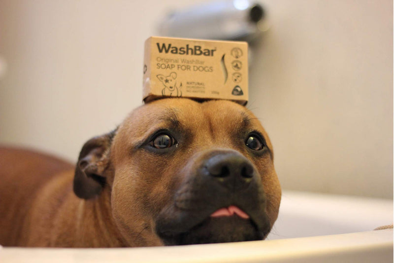 WashBar Natural Dog Soap Bar - Natural Dog Shampoo Bar and Dog Shampoo for Allergies and Itching and Sensitive Skin, Easier to Use Than Liquid Pet Shampoo with No Plastic Bottle Waste Twin - PawsPlanet Australia