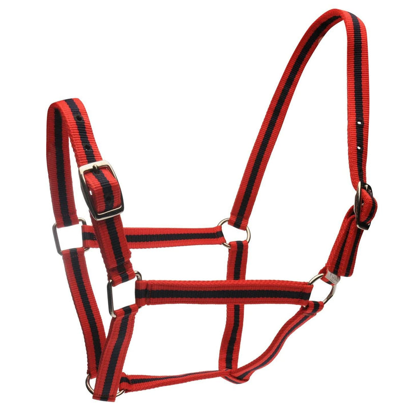 Roma Headcollar and Lead Set - Black Full - PawsPlanet Australia