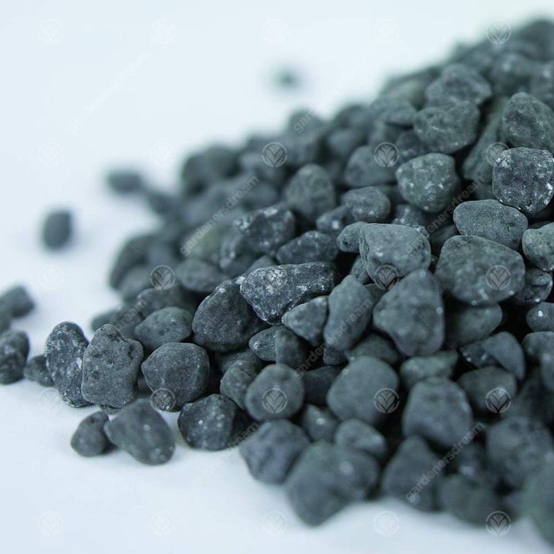 GardenersDream Coloured Aquatic Gravel - Natural Aquarium Fish Stone Substrate (1L, Black) 1 l (Pack of 1) - PawsPlanet Australia