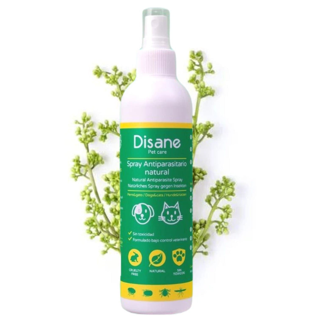 DISANE Natural Flea Spray for Dogs | 250ml | Repels fleas, ticks, mites, lice and mosquitoes (Leishmania) | Natural Insect Repellent for Dogs and Puppies | Ideal for spraying before walking - PawsPlanet Australia
