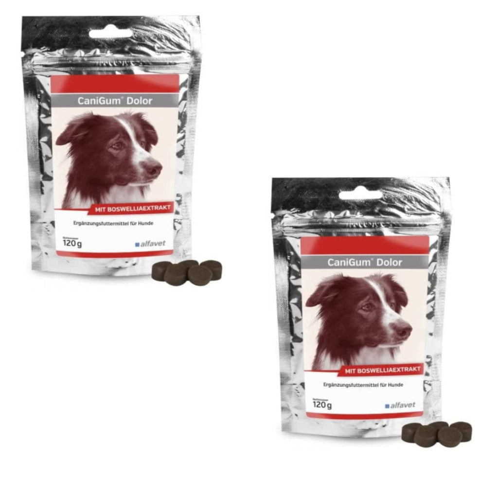 Alfavet CaniGum Dolor for dogs - double pack - 2 x 120g - PawsPlanet Australia