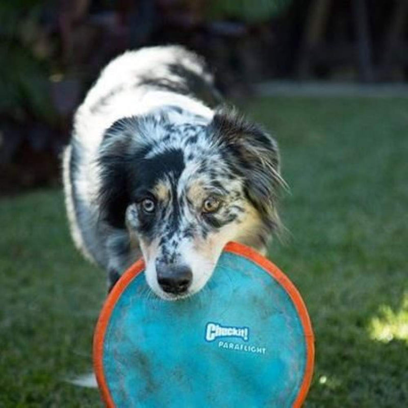 ChuckIt! Paraflight Flyer Dog Frisbee Toy Floats Small Blue/Orange - PawsPlanet Australia