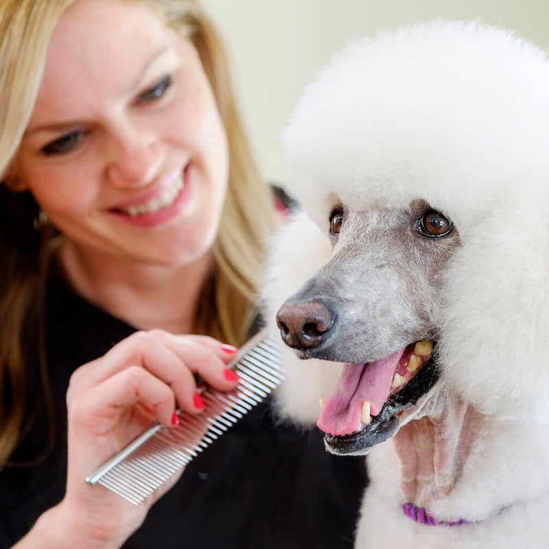 Dog Comb, Stainless Steel Dog Grooming Combs Pet Comb Dog Comb Metal Comb Pet Brush Dog Brush for Large, Medium and Small Dogs and Cats with Tangled Short/Long Hair (19 x 4 cm) - PawsPlanet Australia