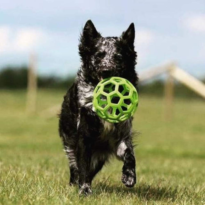 JW Hol-ee Roller Original Durable Rubber Dog Toy, Chew Treat Dispensing Ball - Large - 14cm - PawsPlanet Australia