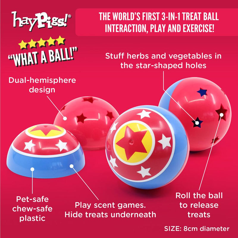 HAYPIGS Treat Ball Variation 1. Treat Ball - PawsPlanet Australia