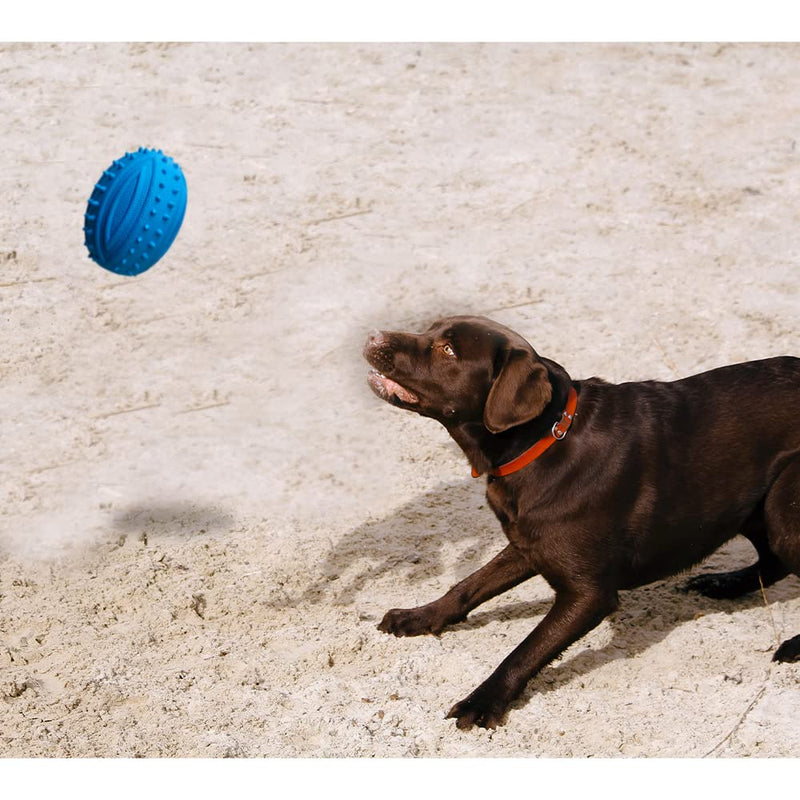 Dog ball and Fetch Game teathing Ball Toys Dogs Exercise Training for Large Medium Small Dogs Hands Free Ball Free Pick Up and Throw Play Toy for Puppy Exercise & Training Dog Teething Ball - PawsPlanet Australia