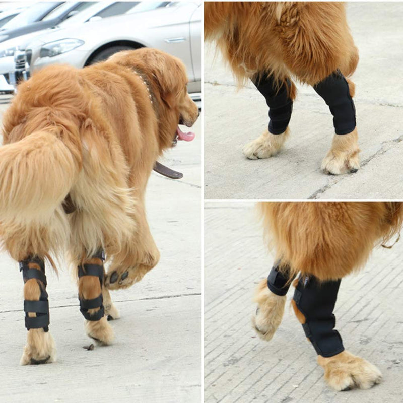 2 Pcs Dog Leg Brace Dog Knee Wrap For Legs Canine Rear Hock Support Hind Leg Wounds, Injuries And Sprains From Arthritis Loss Of Stability Elderly Dogs - PawsPlanet Australia