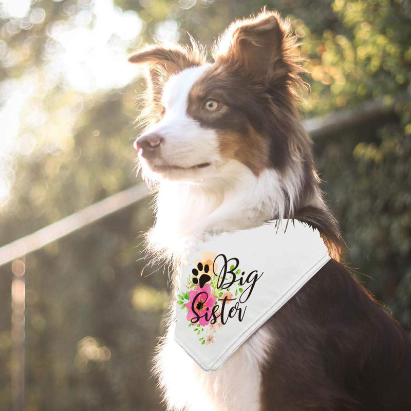 easycozy Big Sister Pregnancy Announcement Dog Bandana, Gender Reveal Photo Prop Pet Scarf Decorations Accessories, Pet Scarves Dog Lovers Owner Gift - PawsPlanet Australia