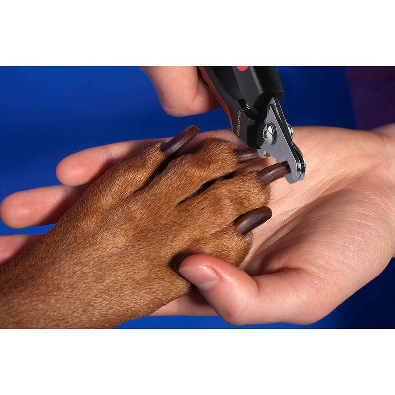 [Australia] - HAWATOUR Dog Nail Clippers, Professional Pet Nail Clipper 