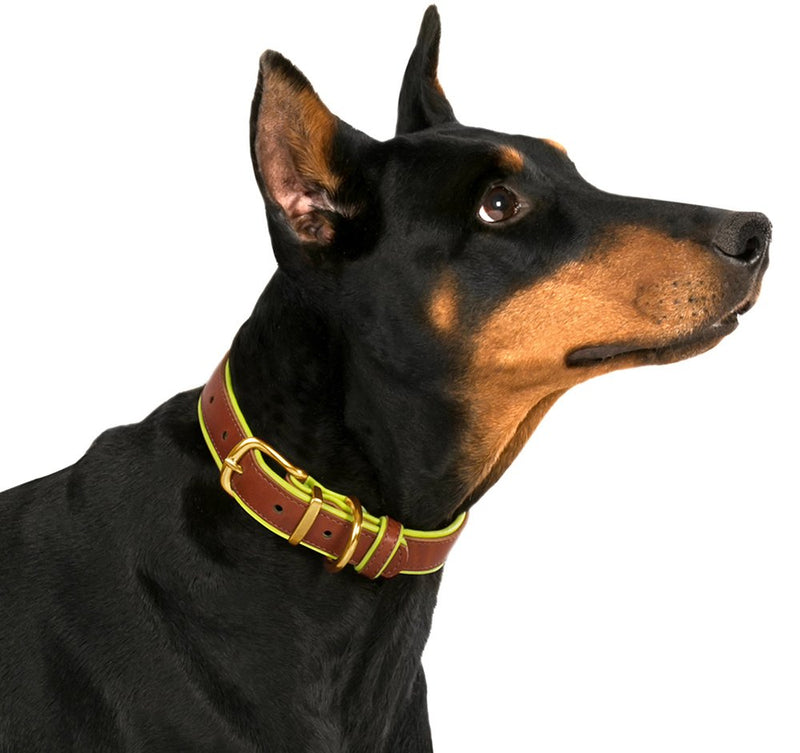 [Australia] - CollarDirect Leather Dog Collar Brass Buckle Soft Padded Puppy Small Medium Large Red Pink Blue Green Orange Purple Yellow Neck Fit 15"-17" 