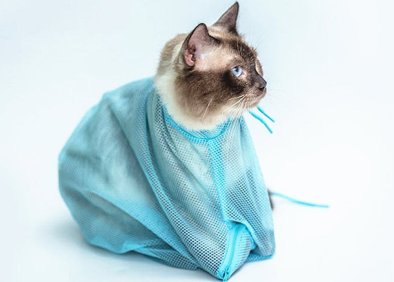 [Australia] - TECH-P Creative Life Adjustable Multifunctional Polyester Cat Washing Shower Mesh Bags Pet Nail Trimming Bags-Blue 