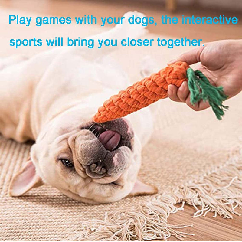 Dog Rope Toys Puppy Chew Toys Interactive Dog Toys for Small to Medium Dogs 10 Pack 10 PCS - PawsPlanet Australia