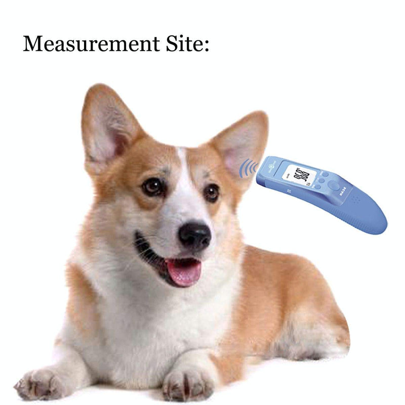 MINDPET-MED Fast Clinical Pet Thermometer for Dogs, Cats, Animals with 3 Switchable Modes (Body, Object Surface Temp,Room), Body Modes accurately Measures pet Ear Temperature, C/F Switchable - PawsPlanet Australia