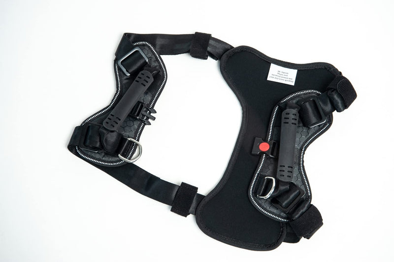 DogMaster 2.0 dog safety belt, black/black, size S - PawsPlanet Australia