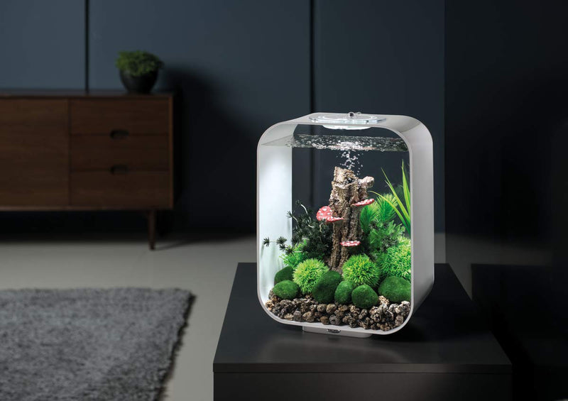 [Australia] - biOrb Bonsai Ball Black 