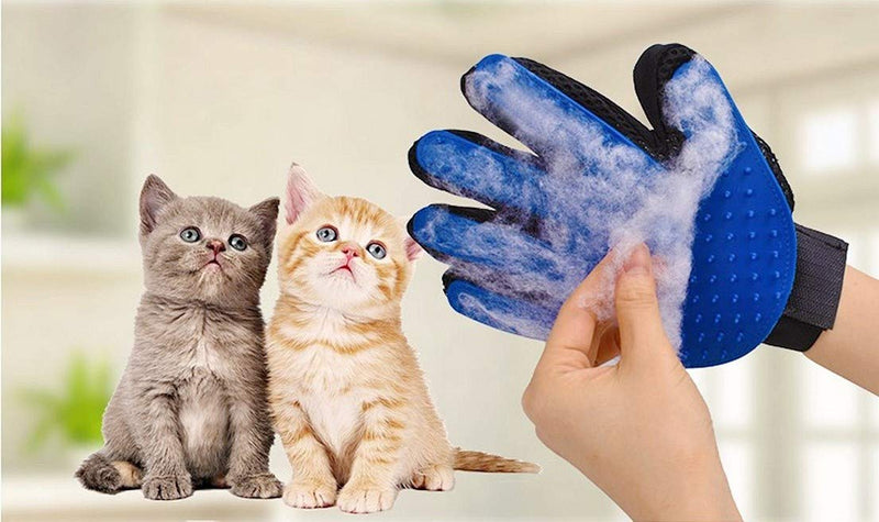 Pet Grooming Glove, Dog Pet Glove, Cat Pet Hair Glove, Pet Brushes, Massage Glove, Grooming Brush, for Dogs and Cats Hair Removal (One) - PawsPlanet Australia