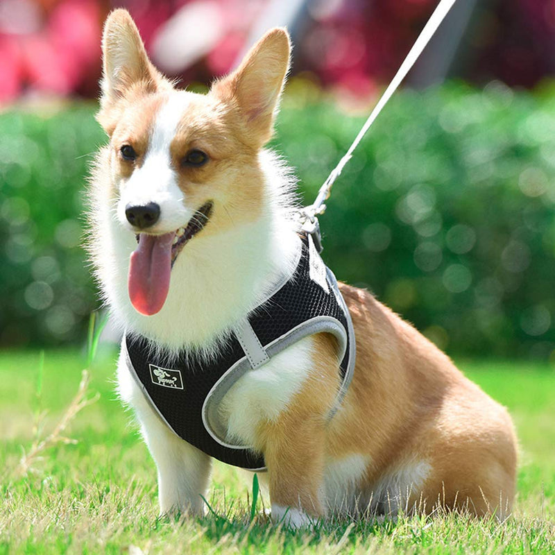 Dog and Cat Universal Harness with Leash - Cat Harness Escape Proof - Adjustable Reflective Step in Dog Harness for Small Dogs Medium Dogs - Soft Mesh Comfort Fit No Pull No Choke, Black, XS - PawsPlanet Australia