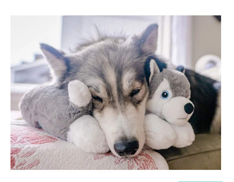 [Australia] - The Dog Pillow Company Plush Head Pillow and Neck Support for Dogs Curved Husky 