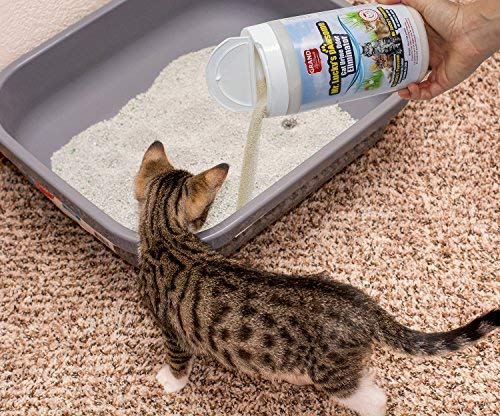 [Australia] - Mr. Luckys Premium, ALL-NATURAL Cat Urine Odor Eliminator Keeps Litter Box Smelling Fresh, Removes Stinky Smell of Cat Pee From the Air. Safe for pets and humans, does not stain floors and furniture 