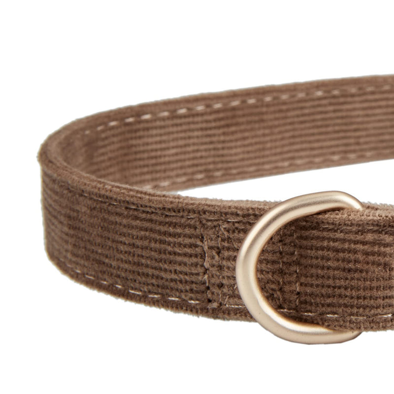 Ewinoom Soft Dog Collar with Metal Gold Buckle - Adjustable Durable Comfy Pet Collars for Large Medium Small Dogs - Corduroy Velvet Dog Collar Small (Pack of 1) Brown - PawsPlanet Australia