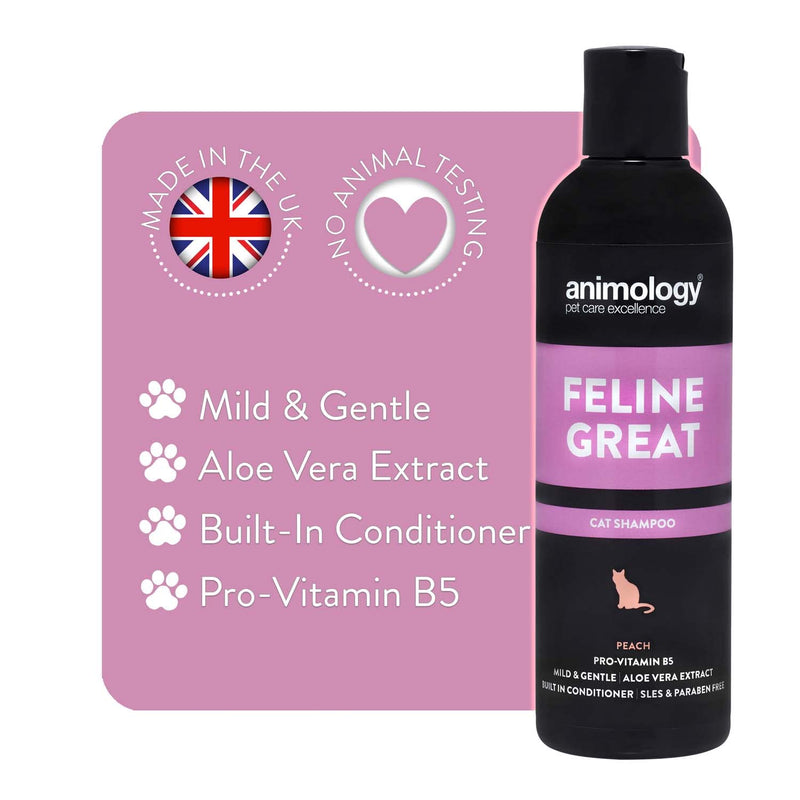 Animology Feline Great Cat Shampoo - For clean and healthy fur - 250 ml cat shampoo with peach scent - Skin-friendly, innovative formula - Mild and gentle cat care shampoo Pack of 2 250 ml (Pack of 2) - PawsPlanet Australia