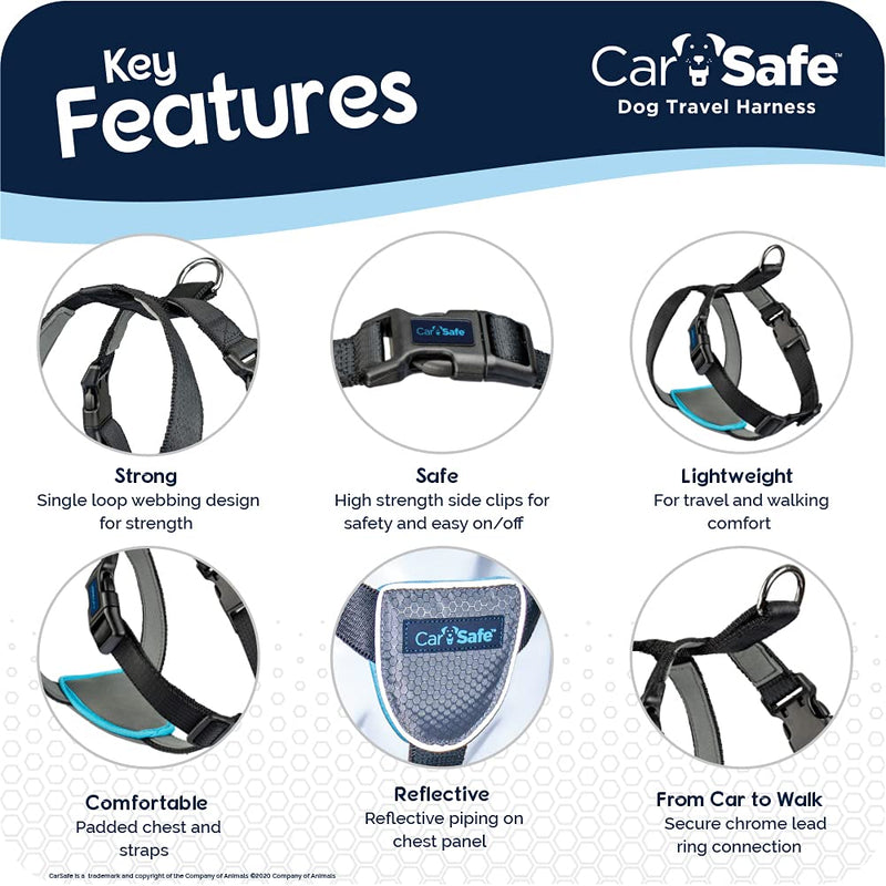 CarSafe Dog Travel Harness Car, safely secure dog in car, ensures road laws and insurance terms when travelling with your pet, for toy, small, medium and large dogs, Black X-Small - PawsPlanet Australia