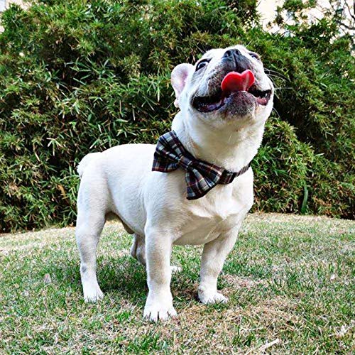 Pet Heroic Pet Dog Cat Collar with Grid Bow tie, Adjustable Plaid Pet Dogs Cats Comfortable Durable Bowtie Collars for Small Medium Large Dogs Cats in 3 Styles Coffee-plaid S - PawsPlanet Australia