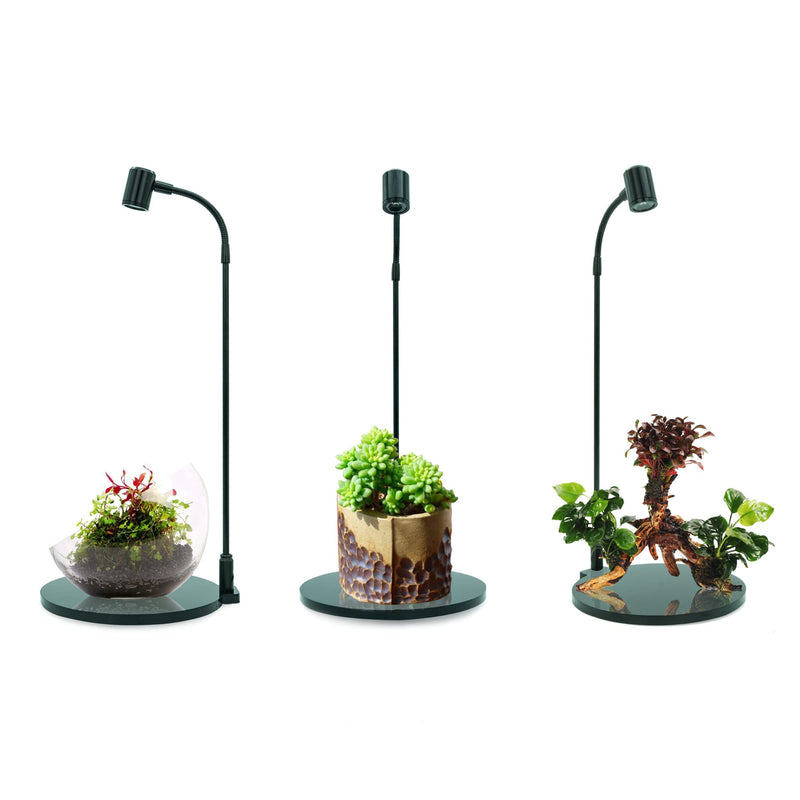 HIRO Aquatics Mini Terrarium Aquarium Black Spotlight for Potted Plants, Betta Fishes, Bottle Jars, Displays, Indoor Plant, Succulents, Air Plants - PawsPlanet Australia