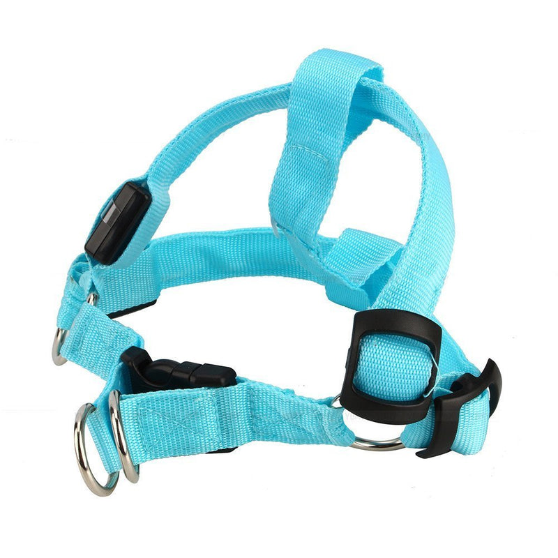 [Australia] - Yosoo LED Flashing Dog Walking Belt Harness Leash Strong Nylon Webbing Tether Pet Safety Collar Comfortable Strap Vest for Large Medium Dog Blue 