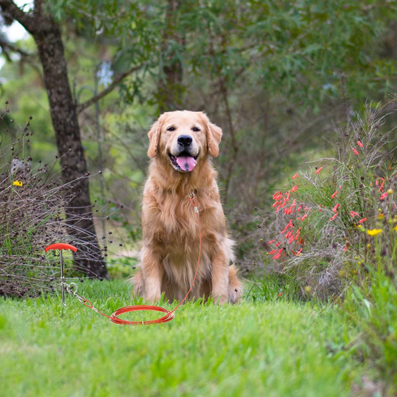 EXPAWLORER Dog Tie Out Cable and Stake Outdoor, Yard and Camping, for Small to Medium Dogs Up to 125 lbs, 16" Stake, 15 ft Cable Runner for Yard - PawsPlanet Australia