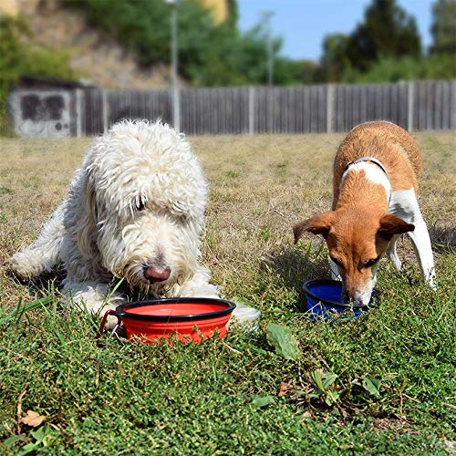 PhoneNatic Collapsible Silicone Dog Bowl in Green, Travel Bowl for Dogs and Cats with Carabiner, S, Green, 350 ml - PawsPlanet Australia