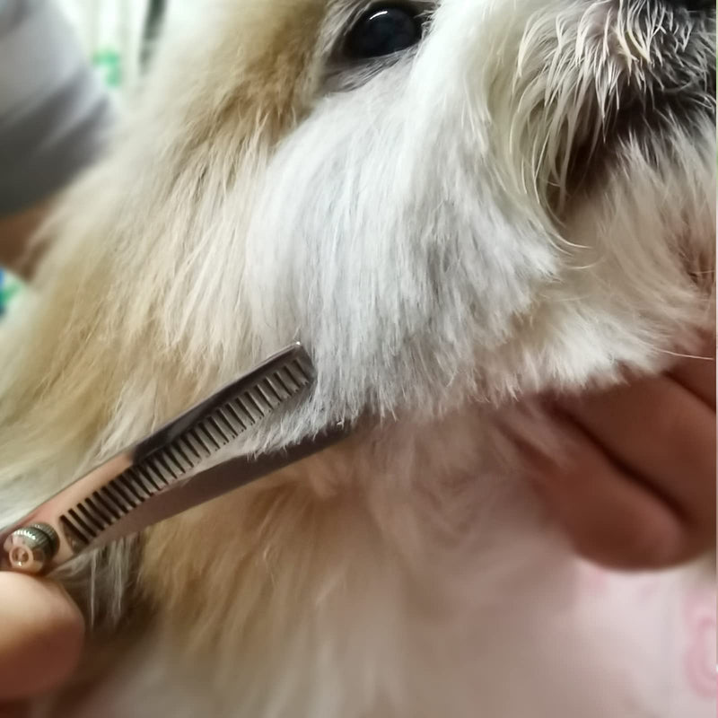 Dog Grooming Scissors Kit with Safety Round Tips Stainless Steel Professional Dog Grooming Shears Set - Thinning, Curved Scissors and Comb for Dog Cat Pet - PawsPlanet Australia