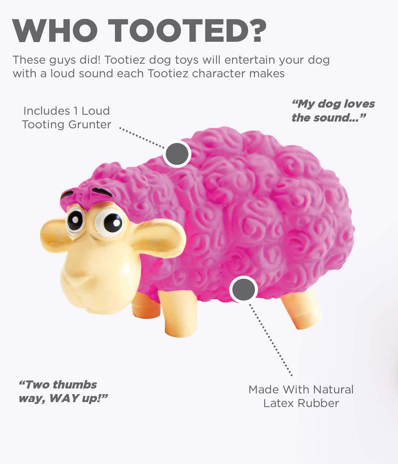 [Australia] - Outward Hound Tootiez Hedgehog Soft Textured Grunting Dog Squeak Toy PINK 