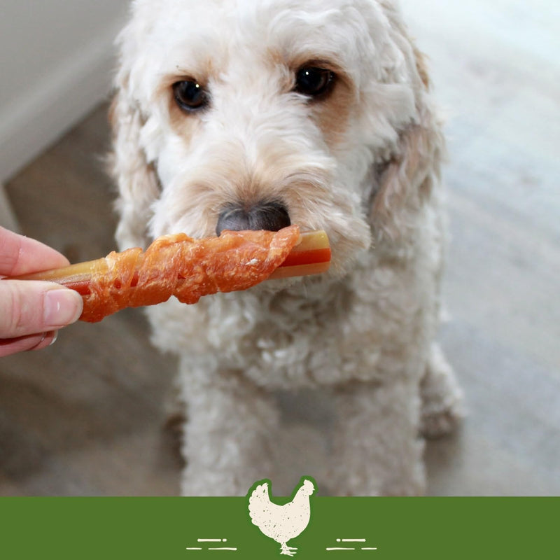 SmartBones Chicken Wrapped Sticks Medium - Dog Snack with Chicken for Medium Dogs, Chewing Sticks with Soft Texture, No Rawhide, Pack of 5 5 Pieces (Pack of 1) Wrapped Sticks Medium (Pack of 5) - PawsPlanet Australia