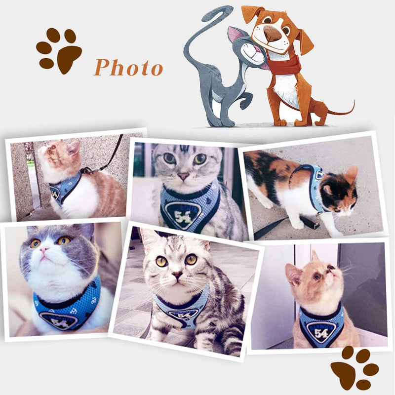 [Australia] - Anyifan Cat Harness and Leash Escape Proof, Small Cat and Dog Harness Soft Mesh Harness Adjustable Cat Vest, Breathable Kitten Puppy Walking Jacket with Metal Leash Ring Fit for Kitten Rabbit Puppy M blue 