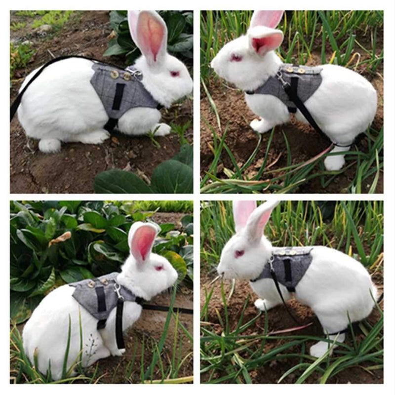 Pssopp Rabbit Harness Leash Cute Bunny Vest Harness and Leash Set With Button Decor Pets Adjustable Formal Suit Style Plaid Stripe Harness Grey(L) L - PawsPlanet Australia