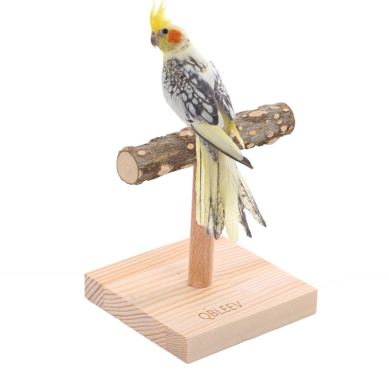 QBLEEV Bird Tabletop Training Stand Perch，Portable Parrot Tee Play Stands, Natural Wood Bird Cage Toys Gym Playground for Small Medium Parakeets Cocktails Conures Lovebirds Finch - PawsPlanet Australia