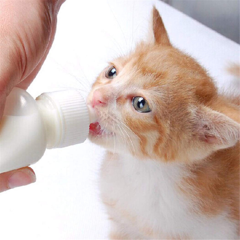 DoubleWood Pet Nursing Bottle Kits Nursing Bottle Kits Replacement Nipple Cat Feeding Bottle for Newborn Kittens, Puppies, Rabbits, Small Animals - PawsPlanet Australia