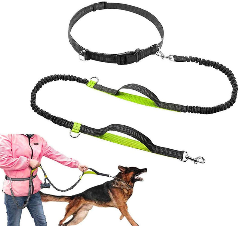 Pecco Hand Free Dog Lead, Dog Walking Belt Ajustable Dog Leash Waist Belt Pet Dog Leash Coupler Running and Jogging Lead Belt with Retractable Bungee - PawsPlanet Australia