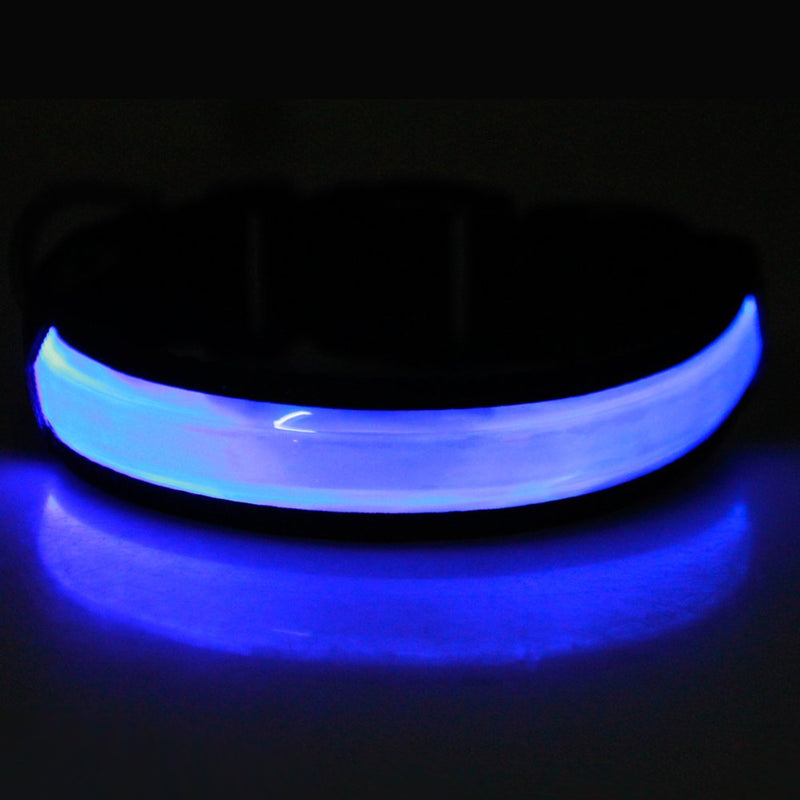 [Australia] - LivingABC LED Dog Collar, USB Rechargeable Waterproof Neck Collar Reflective Flashing Collar Adjustable Size Light up Night to Keep Your Dog Visible & Safe Blue(M Size) 