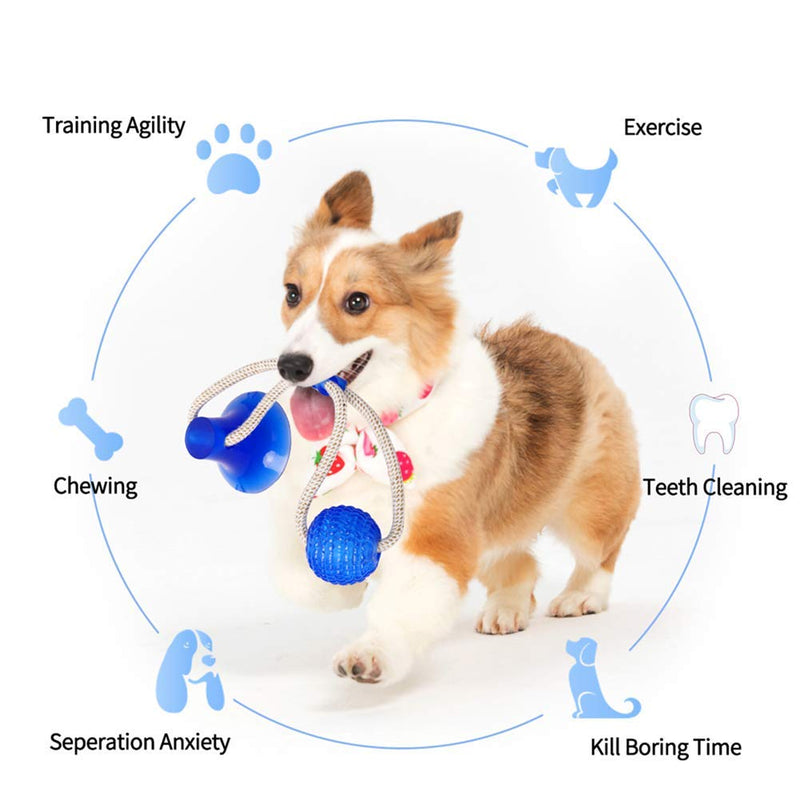 INTVN Multifunction Pet Molar Bite Toy, Dog Bite Toy, Pet Chew Ball Toy with Suction Cup, Multifunction Pet Molar Bite Toy for Molar, Teeth Cleaning, Play - PawsPlanet Australia